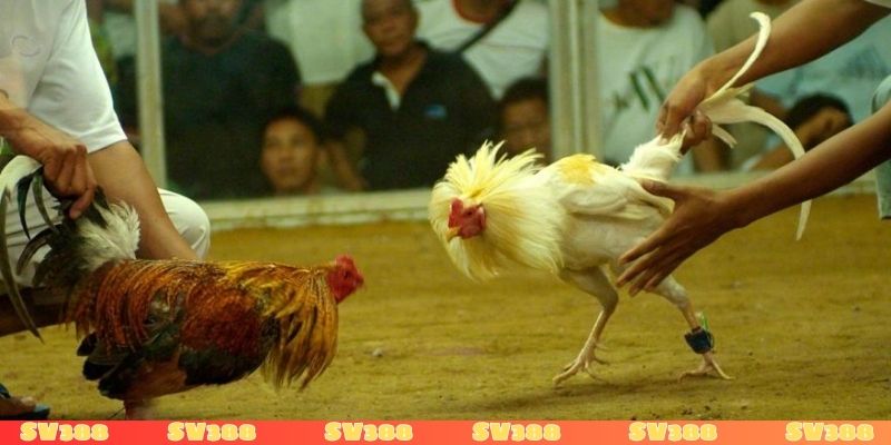 Đăng ký tài khoản trải nghiệm không giới hạn