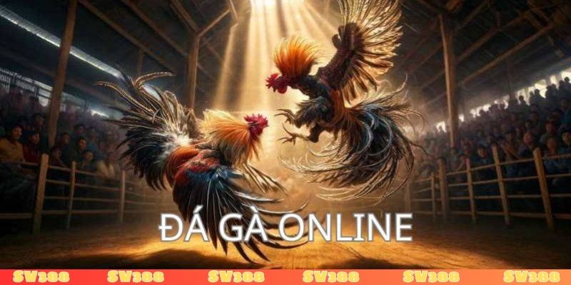 Kinh nghiệm chơi đá gà an toàn