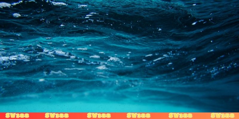 Mơ thấy nước cho biết điều gì?