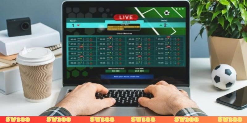 Chọn nền tảng minh bạch khi soi kèo Copa Libertadores