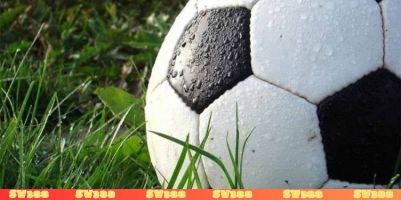 Vì sao cách tính tiền cỏ SV388 lại quan trọng?